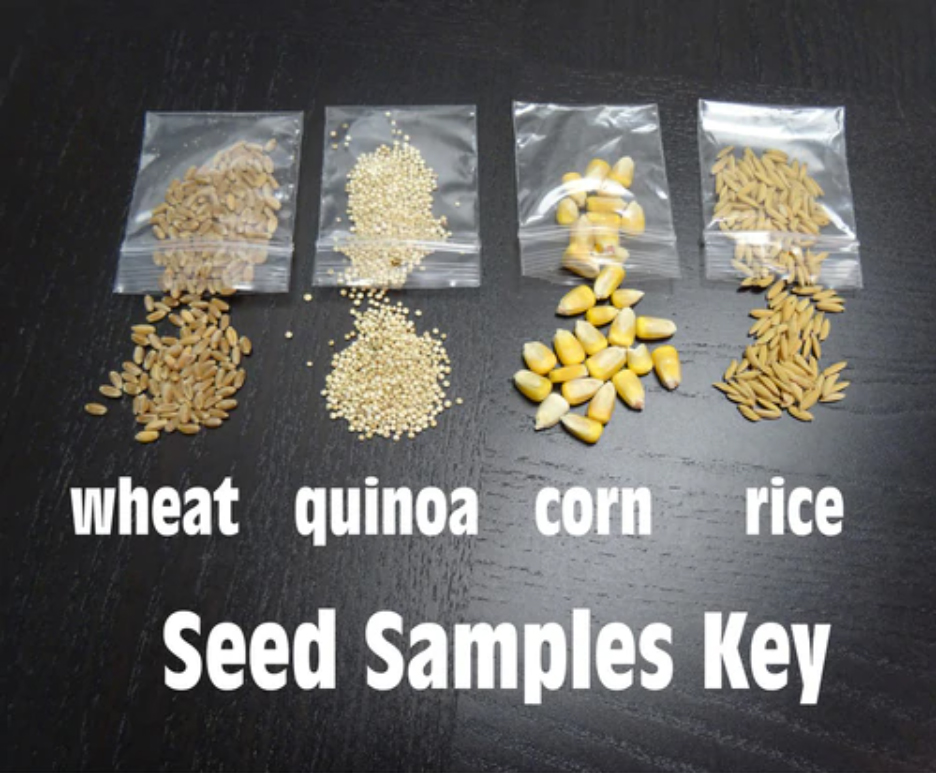 Seed Samples