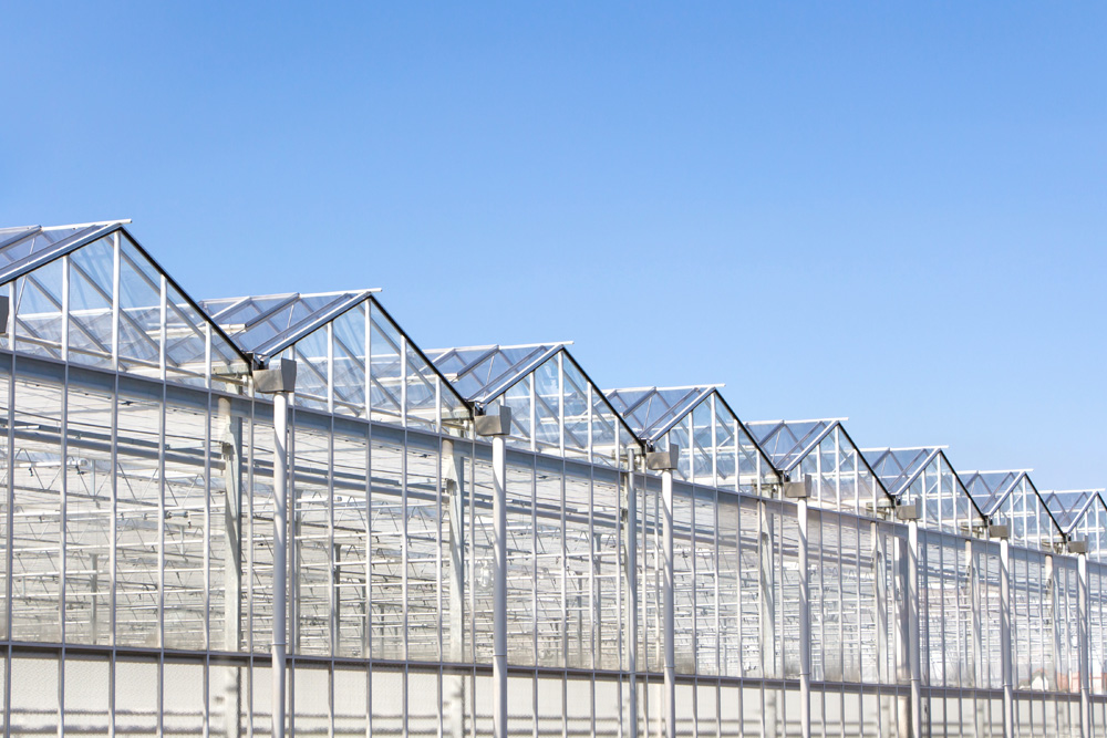 Greenhouse Exterior