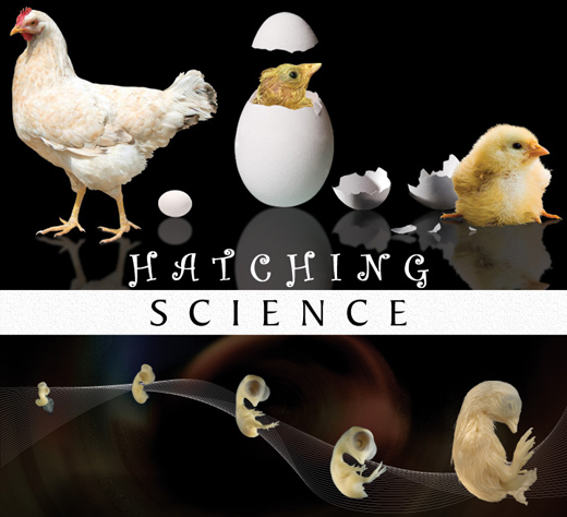 Hatching Science